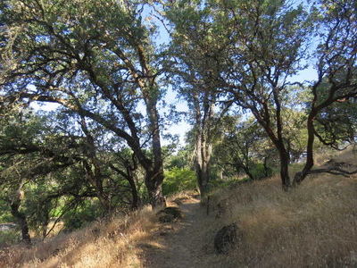 Indian Nature Trail at Clear Lake State Park