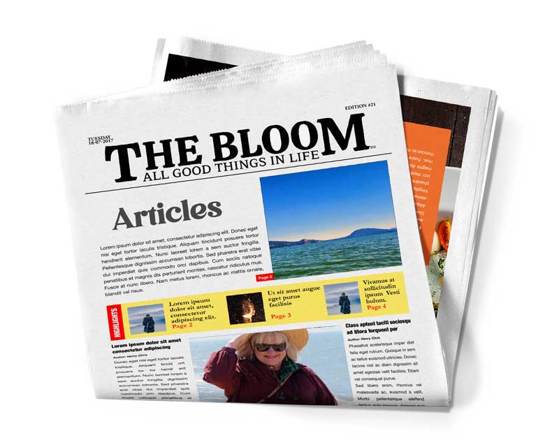 The Bloom
